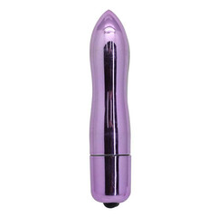 Mini Delight Purple Vibrator reviews and discounts sex shop